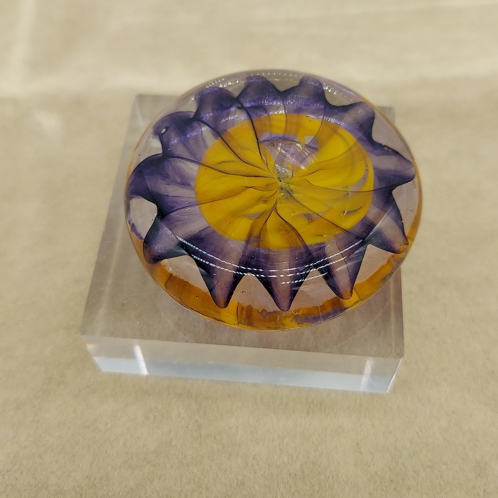 Paperweight Shell Design Purple Yellow Art Decor